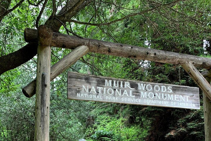 Muir Woods, Sausalito and Golden Gate Bridge - Photo 1 of 7